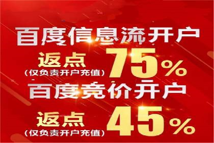 竞价托管实战案例：优化广告预算分配